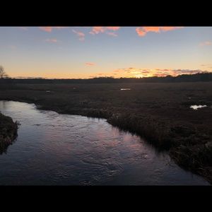 Meet your Posher, Eva